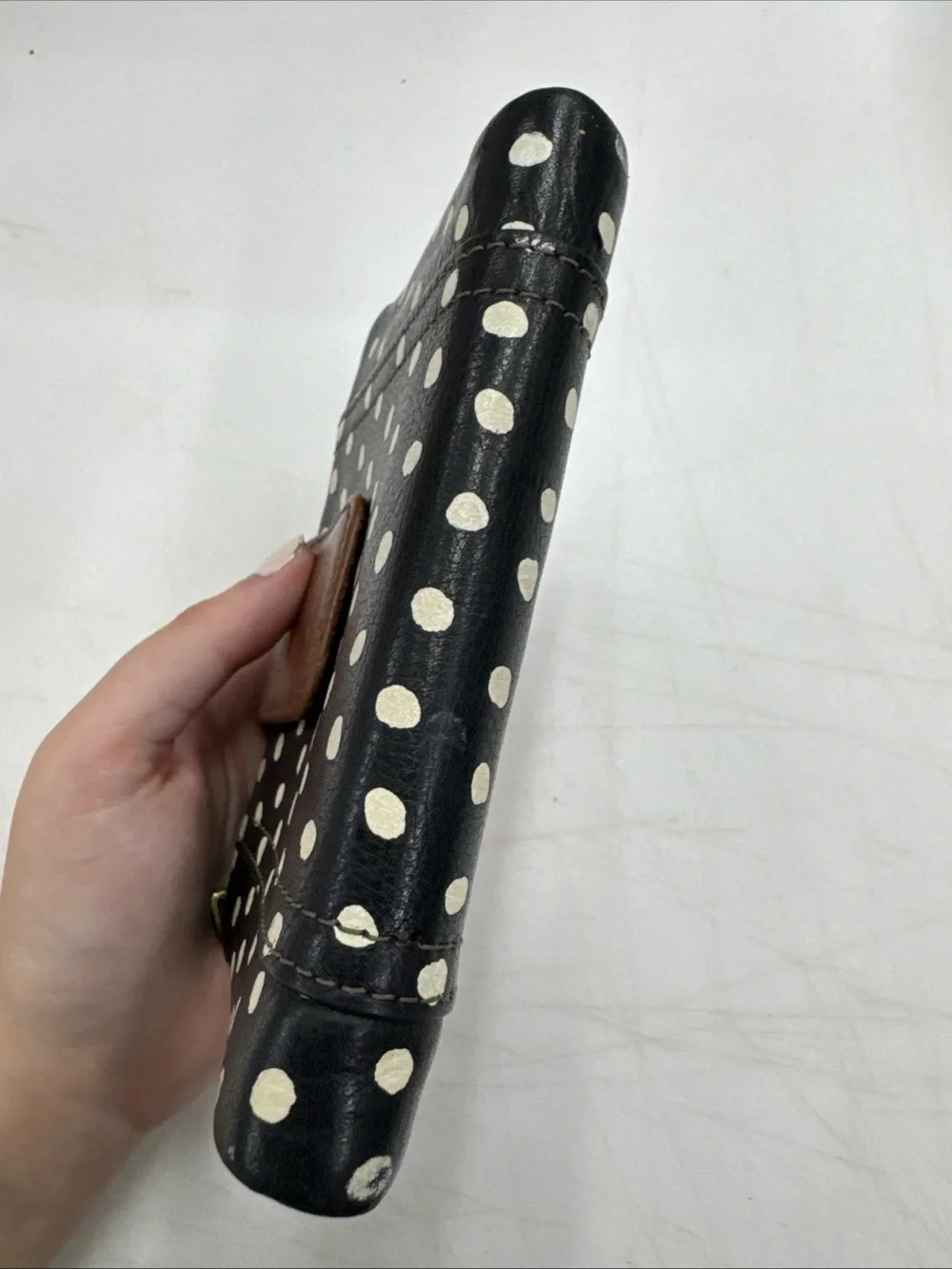 Fossil super cute